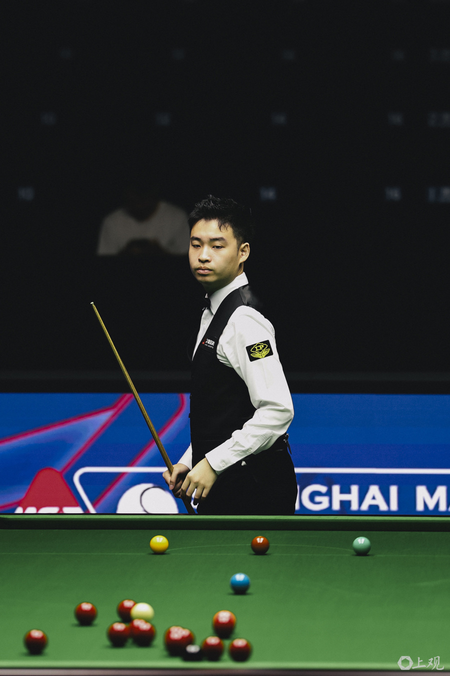 球迷与球队 球迷与球队